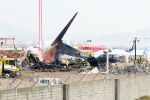 South Korea Plane Crash deaths, South Korea Plane Crash reason, pilot made mayday call and mentioned bird strike in south korea plane crash, Runway