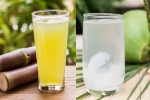 Sugarcane Juice Vs Coconut Water, Sugarcane Juice Vs Coconut Water hydration, sugarcane juice vs coconut water which is hydrating, Paris