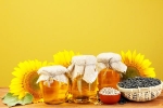 Sunflower Oil experts advise, Sunflower Oil health benefits, long term effects of consuming sunflower oil on heart health, Toxic