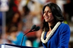 democrat, Presidency, tulsi gabbard likely to run for u s presidency in 2020 sources, Kain