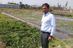 uttar pradesh, national centre of organic farming - (ghaziabad) ghaziabad, this u s return mba graduate is transforming a village barren land into an organic farming facility, Family business