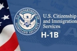 USICS on H1B visas, USICS on H1B visas, uscis report claims more than 74 percent of indians accounted on h1b visas, Up government report USICS on H1B visas, USICS on H1B visas, uscis report claims more than 74 percent of indians accounted on h1b visas, Up government report