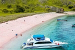 Pink Beach in Indonesia suggestion, Pink Beach in Indonesia breaking, which pink beach should you visit in indonesia, Usa