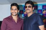 Nagarjuna news, Akkineni heroes, akkineni fans to have a double treat, Saahasam swaasaga saagipo