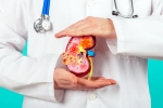 Kidney Health suggestions, Kidney Health new tips, top fruits that are good for kidney health, Kidney health fruits