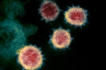 Mu variant cases, Mu variant, one more new variant of coronavirus traced in columbia, South america