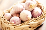 Chinese garlic latest, Chinese garlic latest, how to identify banned chinese garlic in the indian market, Rajkot