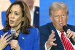 Kamala Harris Vs Donald Trump breaking, Kamala Harris Vs Donald Trump breaking news, more billionaires back kamala harris over donald trump, Warren buffett