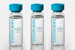 EUL for Covaxin updates, EUL for Covaxin delayed, who delays the eul decision on covaxin, Covax