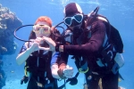 Scuba Diver special tips, Scuba Diver for begginer, essential tips every first time scuba diver should follow, Animal