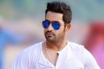 NTR latest, NTR latest, ntr s jai lava kusa updates, Nannaku prematho NTR latest, NTR latest, ntr s jai lava kusa updates, Nannaku prematho