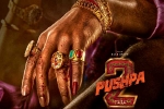 Pushpa: The Rule updates, Allu Arjun, allu arjun s dedication for pushpa the rule, Inspiration